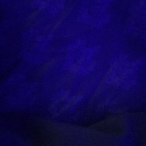 Meet your Posher, Nene